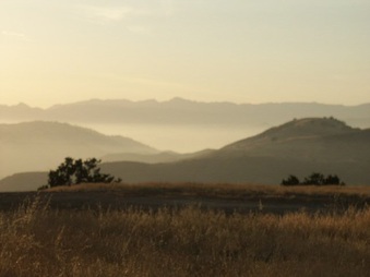 Enlarge photo 69
