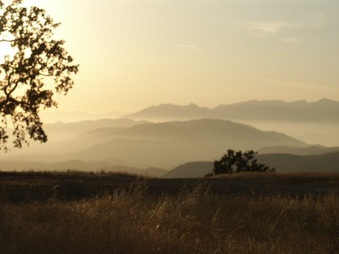 Enlarge photo 70