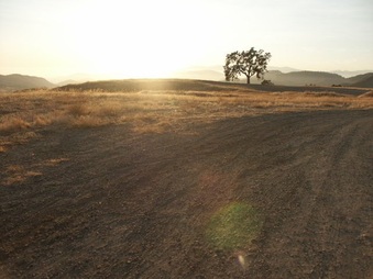 Enlarge photo 72
