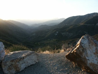 Cow Turnout - Mt Baldy Vista