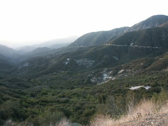 Enlarge photo 9