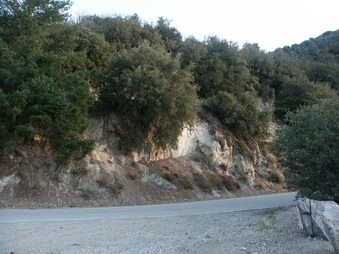 Enlarge photo 14