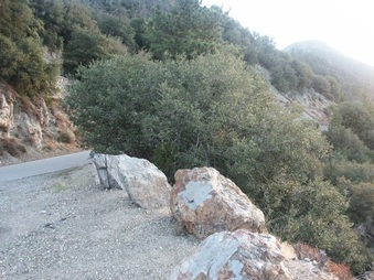 Enlarge photo 15