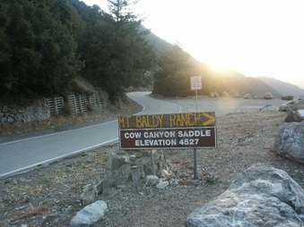 Enlarge photo 33