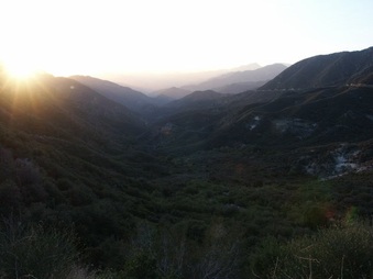 Enlarge photo 45