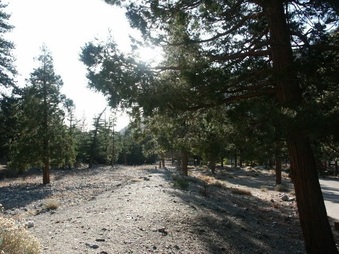 Manker Flats area