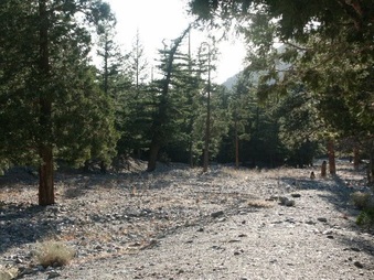 Enlarge photo 2
