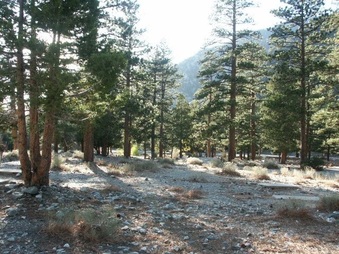 Enlarge photo 11