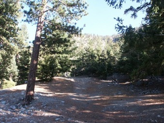 Enlarge photo 13