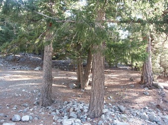 Enlarge photo 14