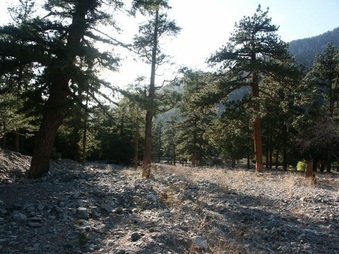 Enlarge photo 15
