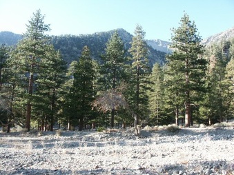 Enlarge photo 16