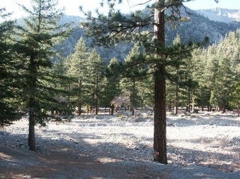 Enlarge photo 17