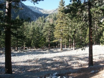 Enlarge photo 18