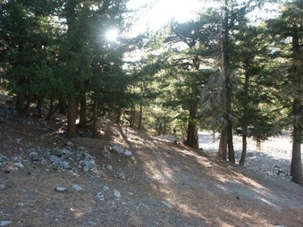 Enlarge photo 19