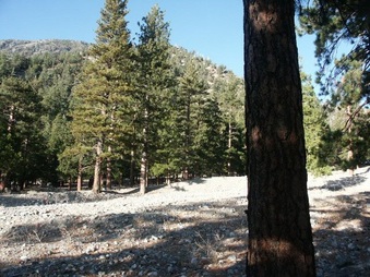 Enlarge photo 21