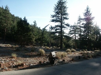 Enlarge photo 22
