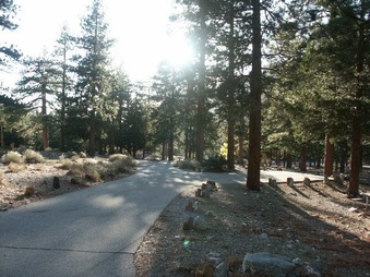Enlarge photo 23