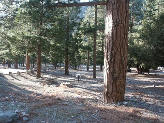 Enlarge photo 24