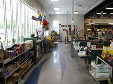 Enlarge photo 53