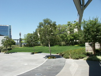 Enlarge photo 17