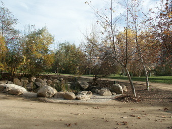 Enlarge photo 3