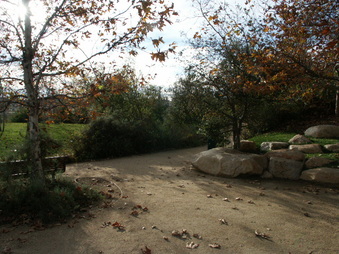Enlarge photo 5