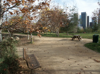 Enlarge photo 8