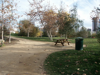 Enlarge photo 12