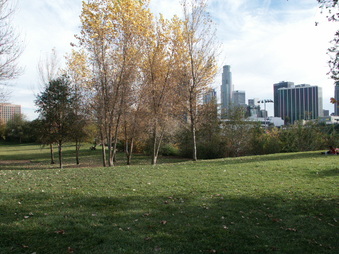 Enlarge photo 18