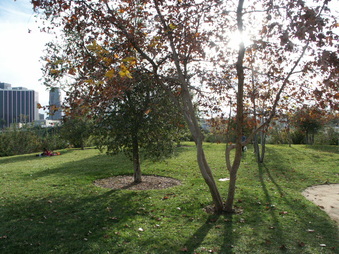Enlarge photo 17