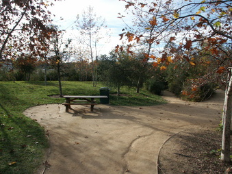 Enlarge photo 19