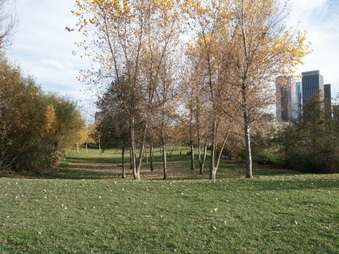 Enlarge photo 23