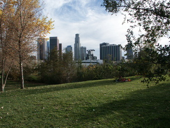 Enlarge photo 21