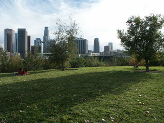 Enlarge photo 24