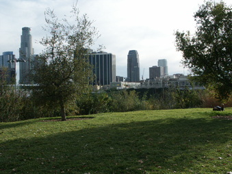 Enlarge photo 26