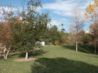 Enlarge photo 27