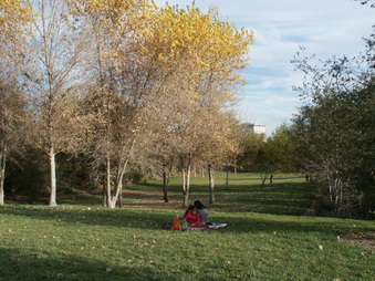 Enlarge photo 29