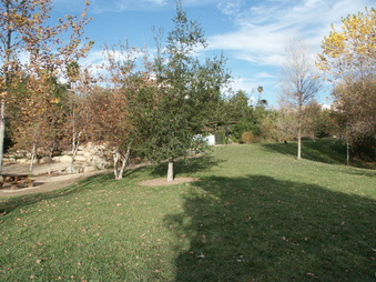 Enlarge photo 28