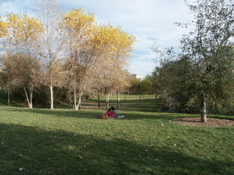 Enlarge photo 31