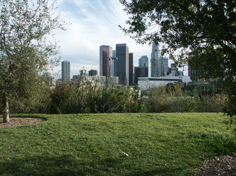 Enlarge photo 30
