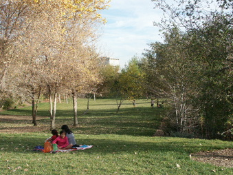 Enlarge photo 32