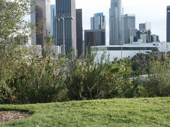 Enlarge photo 33