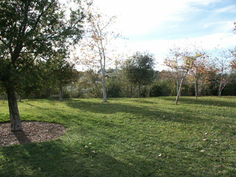 Enlarge photo 35