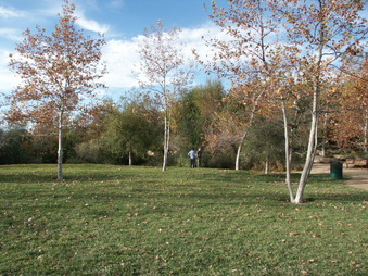 Enlarge photo 34