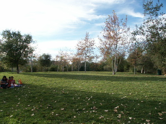 Enlarge photo 38