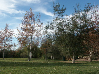 Enlarge photo 40