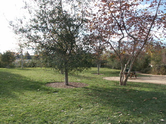 Enlarge photo 41
