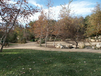 Enlarge photo 42