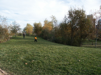 Enlarge photo 45